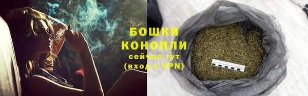 гидропоника Белоозёрский