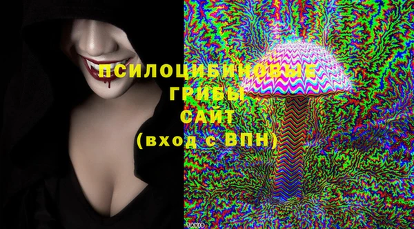 гидропоника Белоозёрский